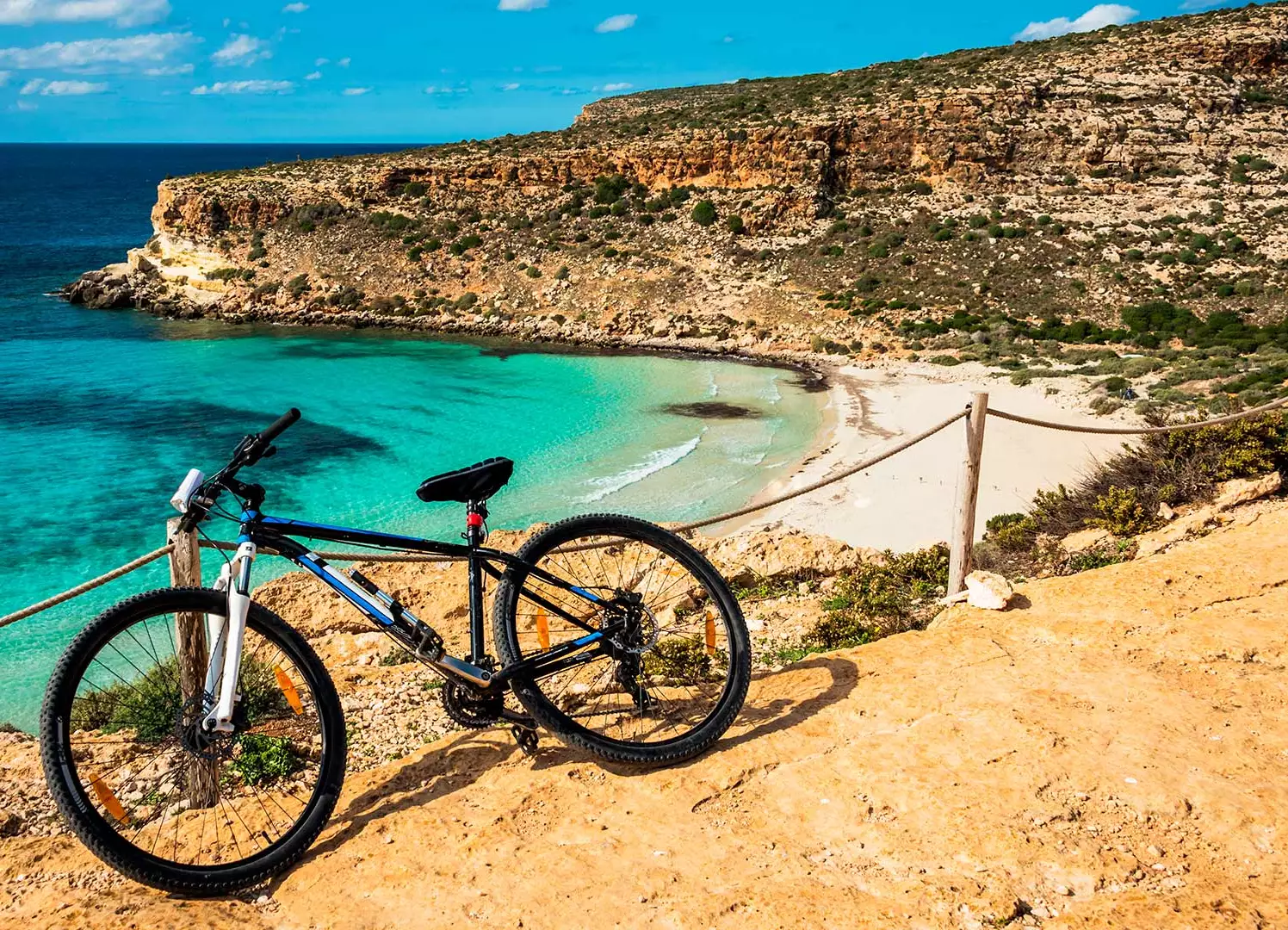 Cycle Ride